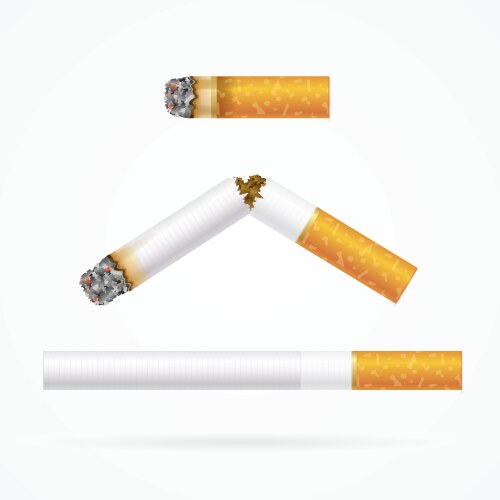 Cigarette stub Vector Images & Graphics for Commercial Use