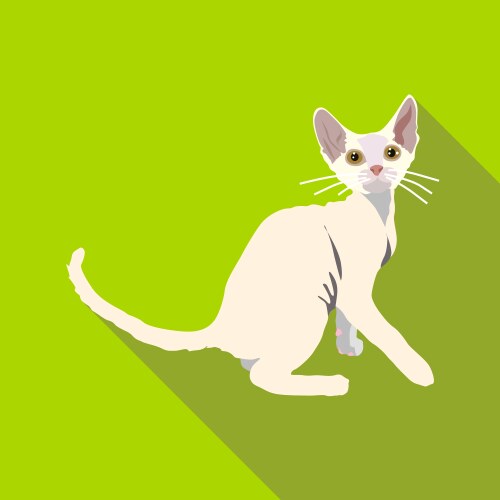 Cats of different breeds with long shadow vector image