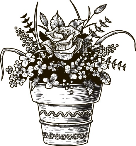 Hand-Drawn Flowers in a Pot Sketch Vector Image