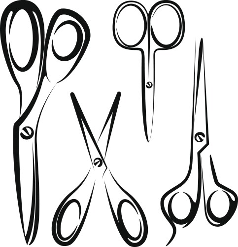 With a set of scissors vector image