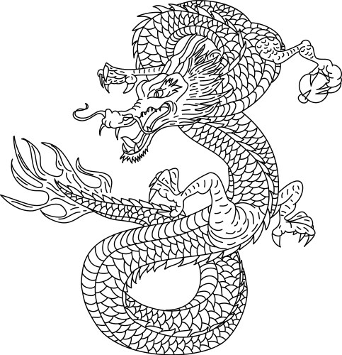 Japanese Dragon Tattoo Vector Image