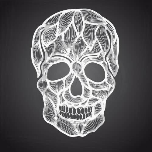 with hand drawn skull vector