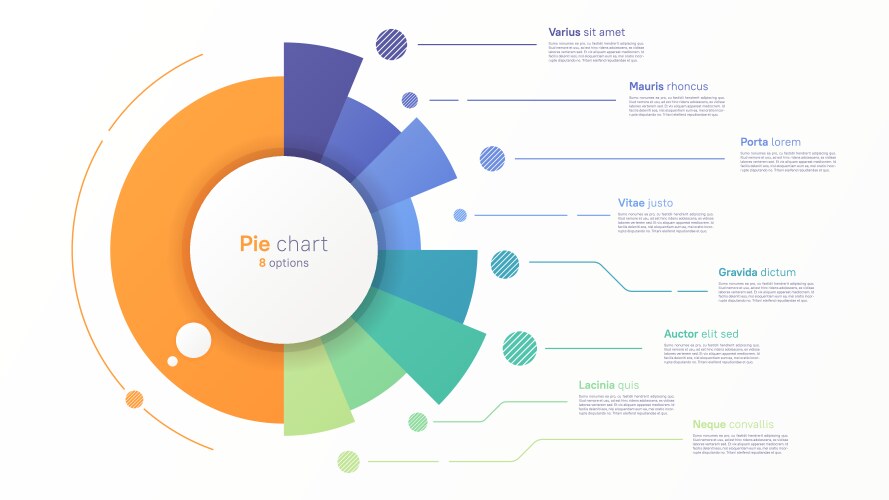 Circle chart design modern template vector image