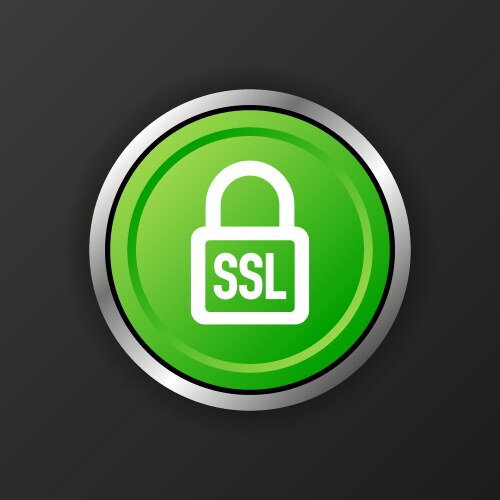 Ssl encryption button secure icon vector image