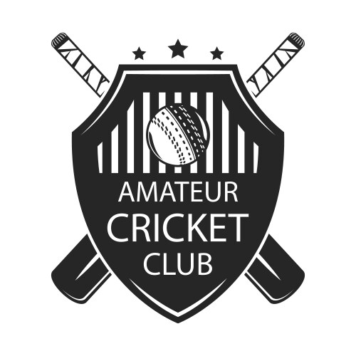 Cricket amater club Vector Image
