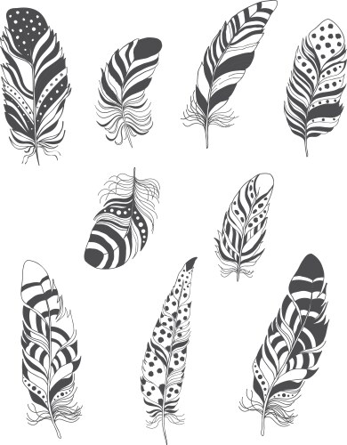 Set of ornamental boho style feather hippie design Vector Image