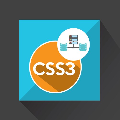 Css3 language data base storage vector image