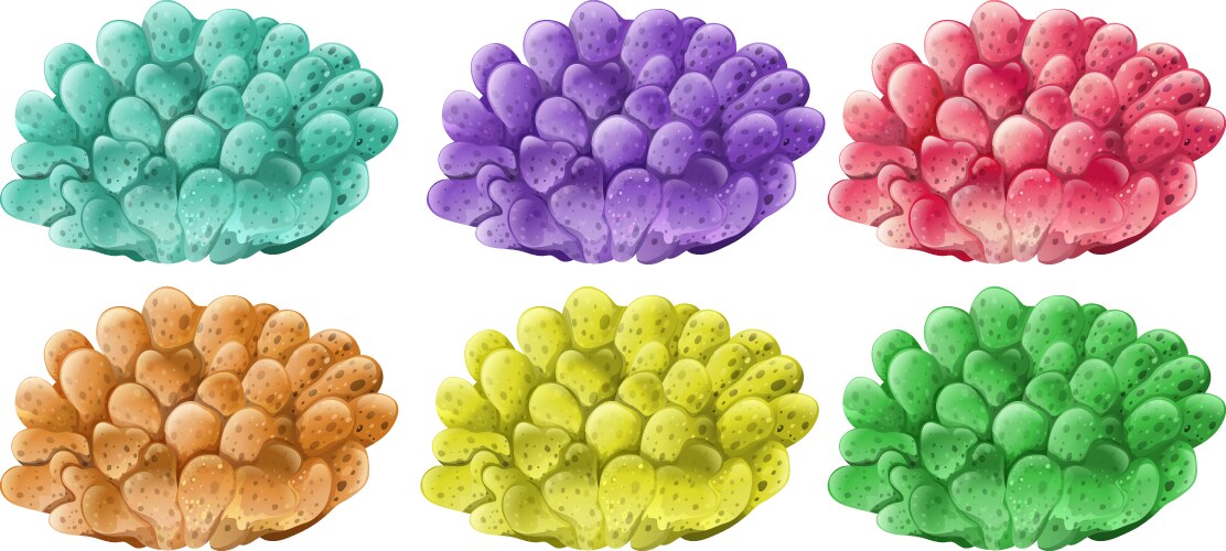 Coral reef in six colors Vector Image