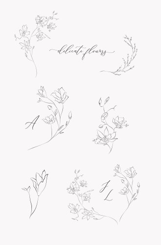 Delicate Floral Wreaths vector image