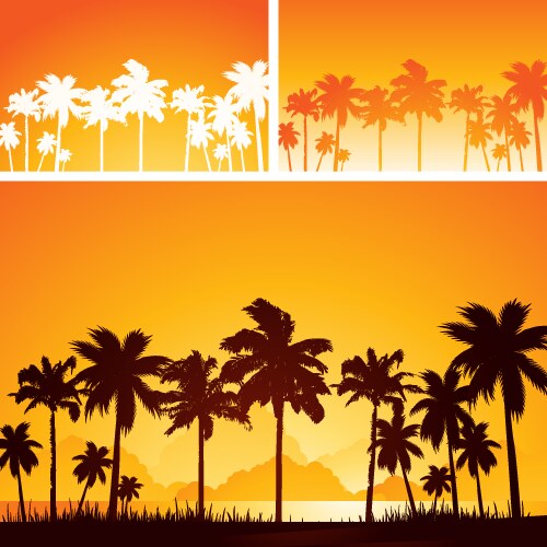 Tropical background Royalty Free Vector Image - VectorStock