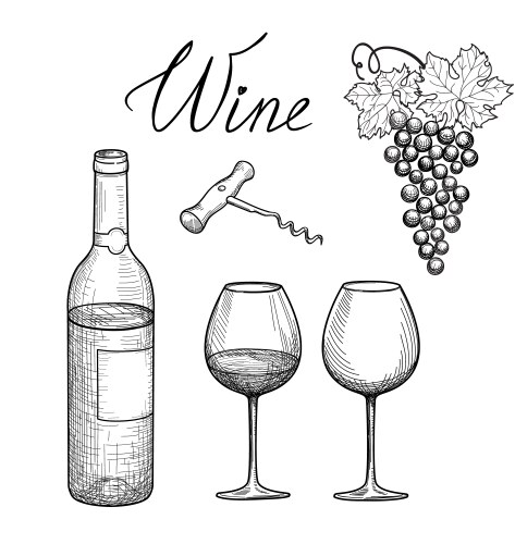Wine Glass & Bottle Sketch Collection Vector Image