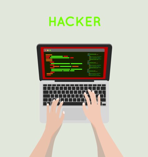 Hacker coding bug on laptop icon vector image