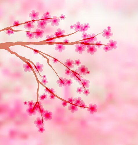 Spring sakura blossom Royalty Free Vector Image