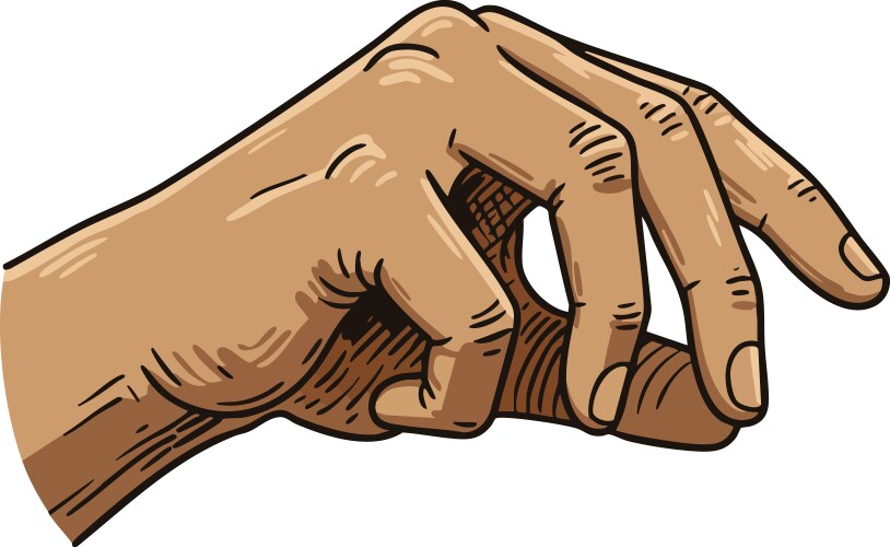 Realistic human hand with detailed fingers Vector Image