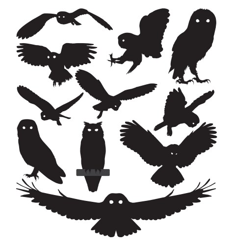 Owl Silhouettes Vector Image