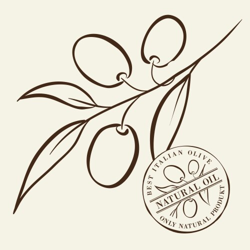 Leaf branch round place frame Royalty Free Vector Image