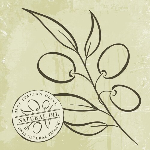 Olive branches hand drawn Royalty Free Vector Image