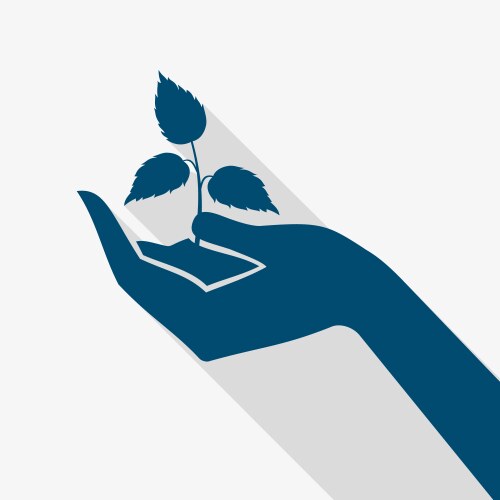 hand holding plant sprout vector image