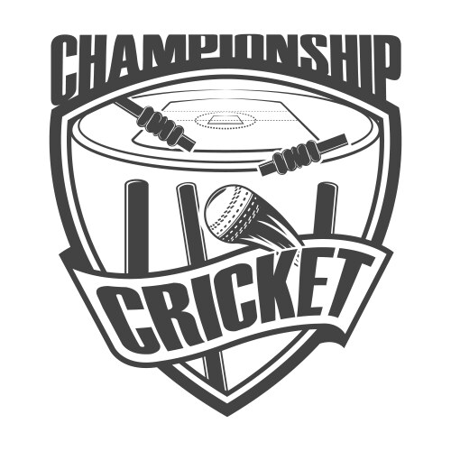 Cricket championship field Vector Image