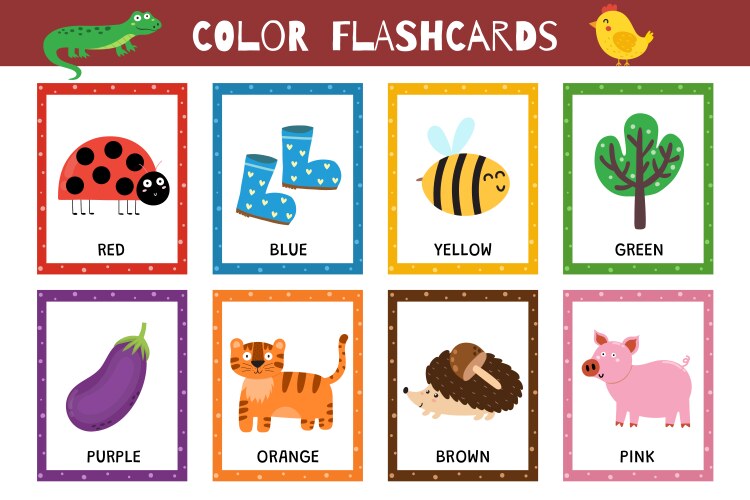 basic colors flashcards collection for kids vector image