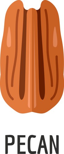 Pecan Tree Logo Vector Images (68)