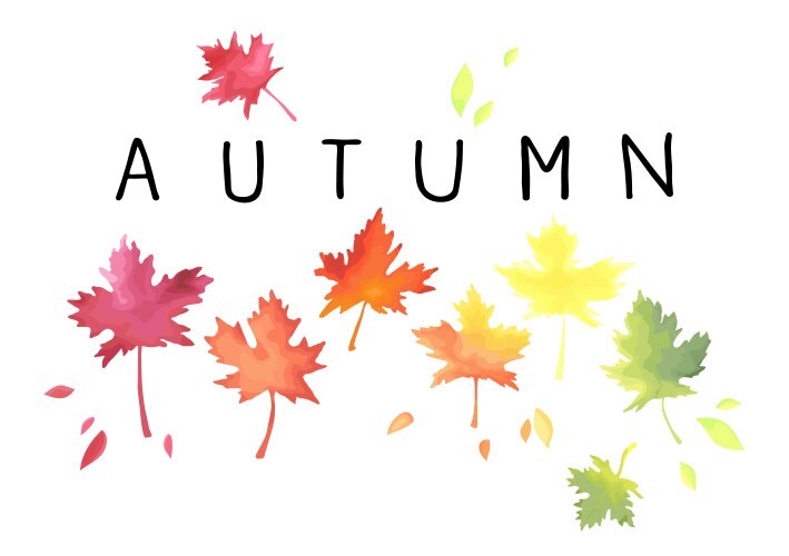 Autumn Lettering with Maple Leaves Vector Image