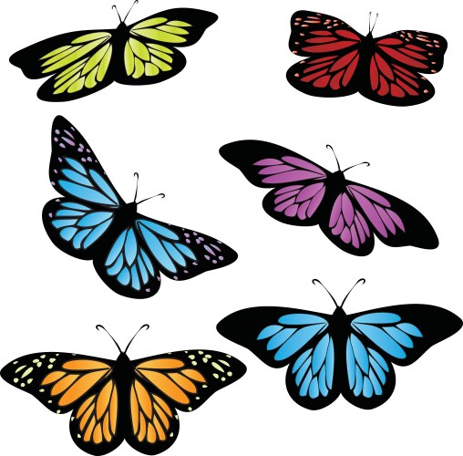 Colorful Butterfly Collection Vector Image