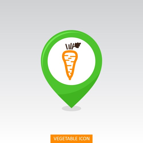 Parsnip root flat pin map icon vegetable vector image