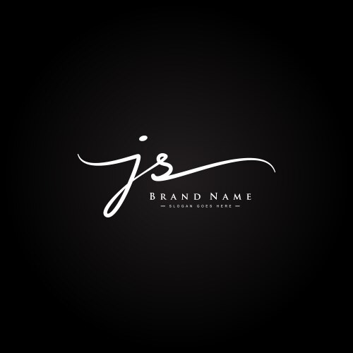 JS Initial Signature Logo - Elegant Script vector image