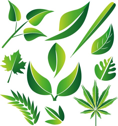 Abstract leaf logo icon template Royalty Free Vector Image