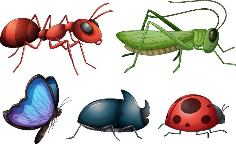 Vector Insect Comic Insects Royalty Free Vector Image - VectorStock