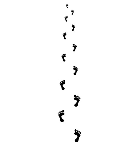 Barefoot Trail Footprints Vector Image