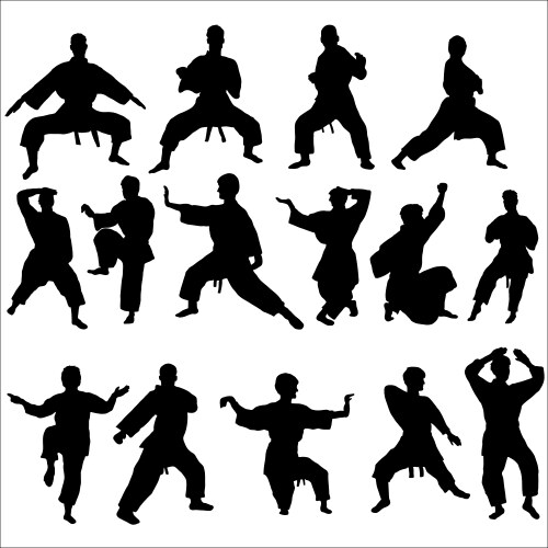 Karate Kata Pose Silhouette Vector Image