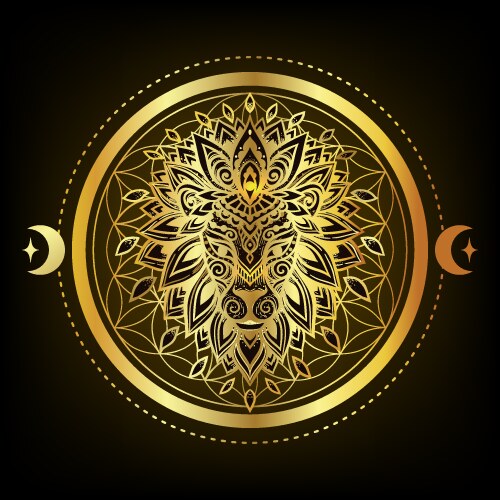 Lion mandala head leo zodiac Vector Image