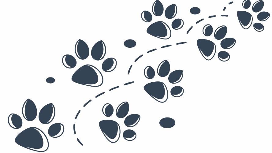 Dynamic paw print path pattern active pet-themed vector image
