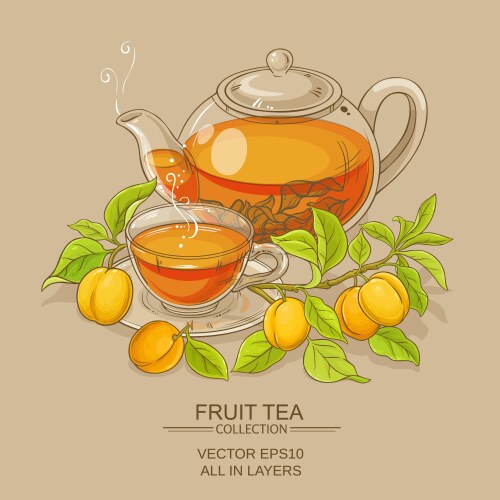 Apricot tea Royalty Free Vector Image - VectorStock