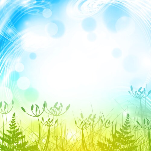 spring or summer meadow vector image