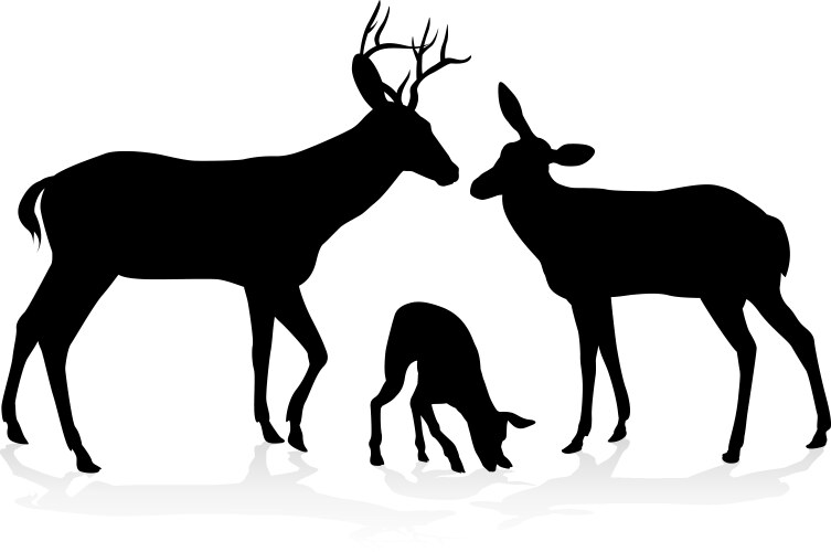 Deer family silhouettes vector image