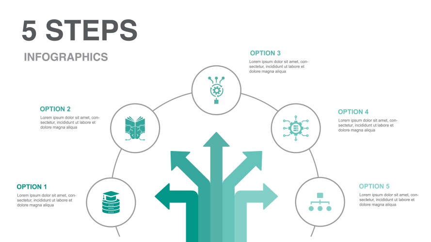 Data Science Algorithm Infographic vector image