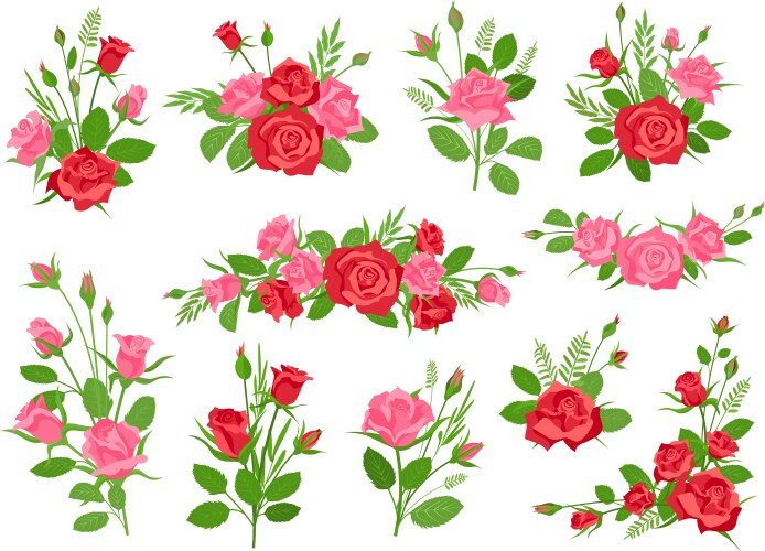 cartoon pink and red rose floral bouquets vector image