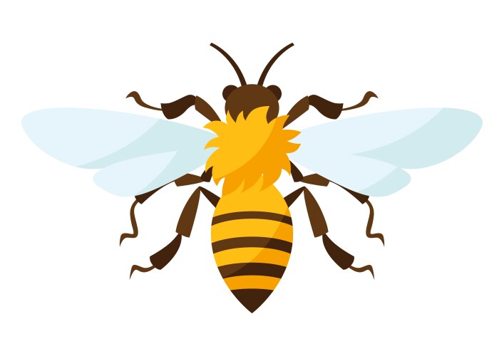 Stylized bee icon for food vector image