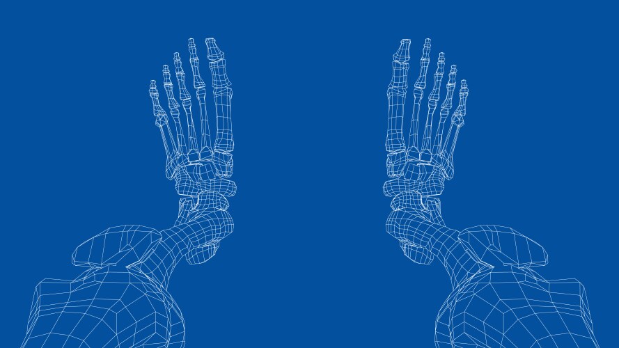 Human skeleton Royalty Free Vector Image - VectorStock