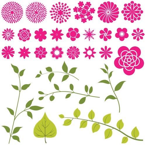 Set flowers - floral elements Vector Image