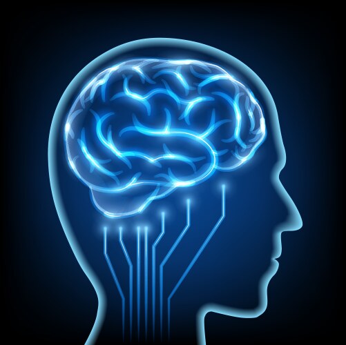 Brain power Royalty Free Vector Image - VectorStock