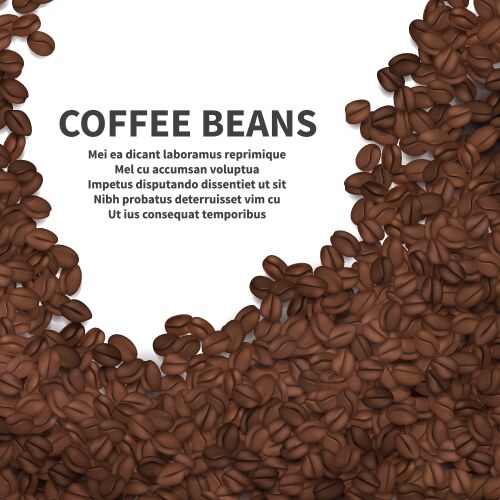 Roasted Coffee Beans on White Vector Image