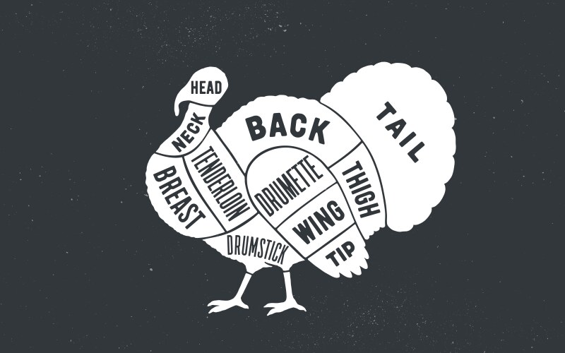 Turkey Butcher Chart Vector Image
