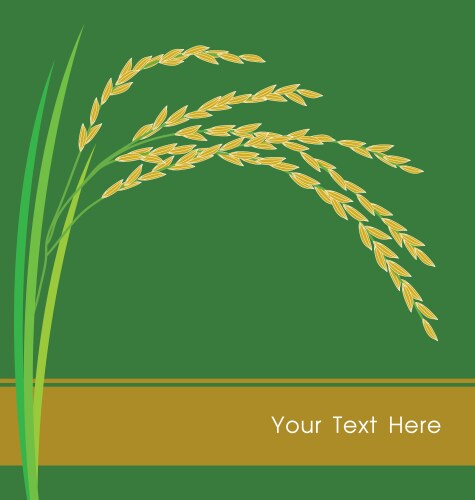 Rice Vector Images (over 89,000)
