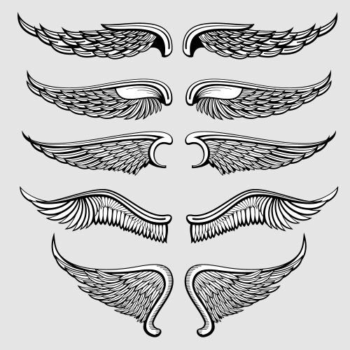 Angel Wings Set - Gothic & Heraldic Vector Image