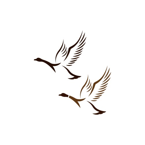 Duck Logo Concept - Feathered Icon Vector Image