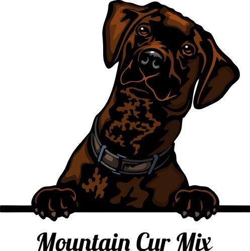 Mountain Cur Vector Images (60)